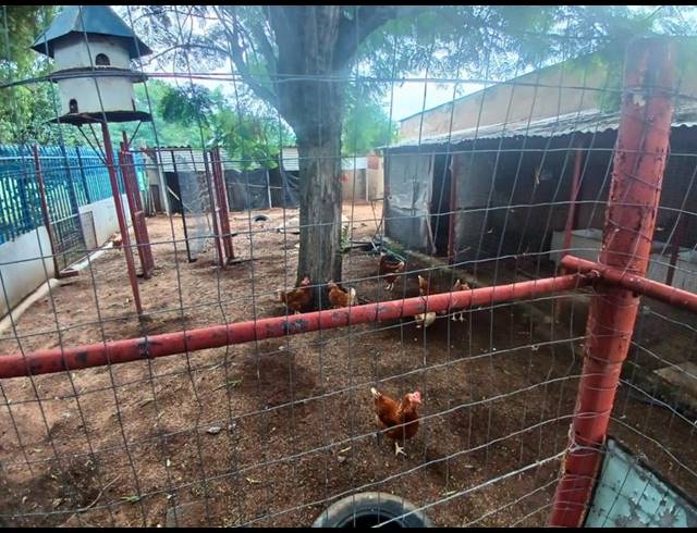 FARM FOR SALE IN VASFONTEIN
